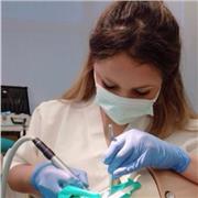 Doy clases particulares de repaso o bien de primer curso de carrera troncal medicina u odontología.Inglés y Francés disponible